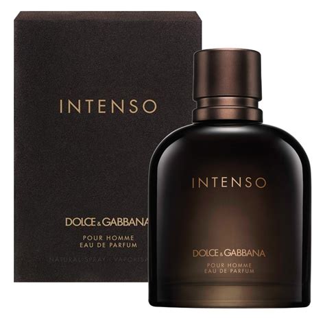 dolce and gabbana pour homme intenso review